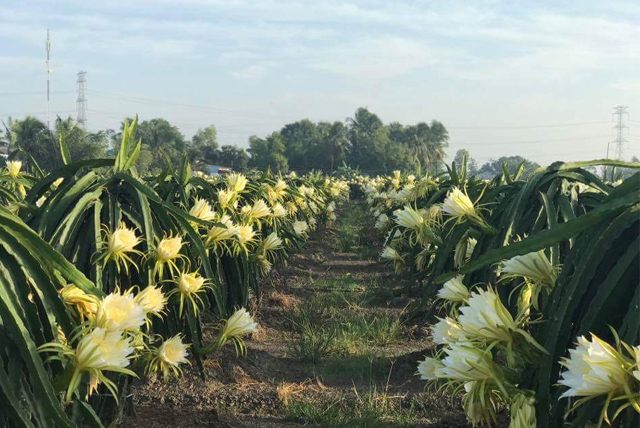 Awesome Product Image