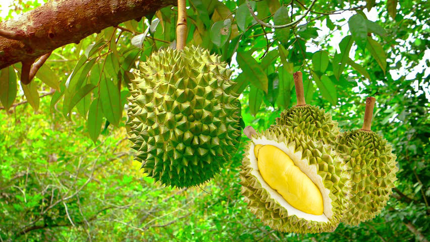 Awesome Product Image